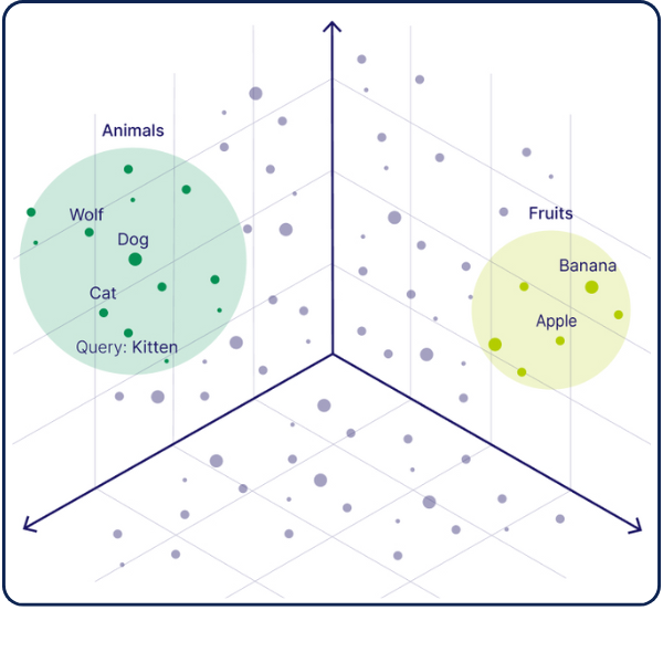 vector database visualisation